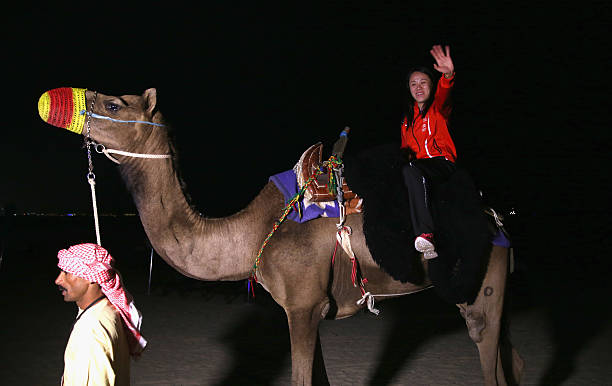 羽毛球拍M和F系列对比:哪款更适合你的打法?