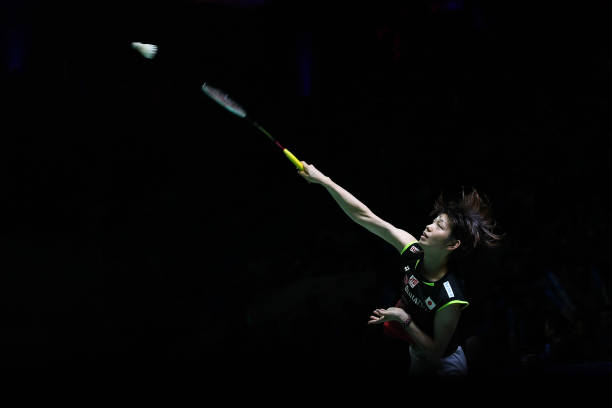 从零开始学羽毛球：初学者入门完全指南