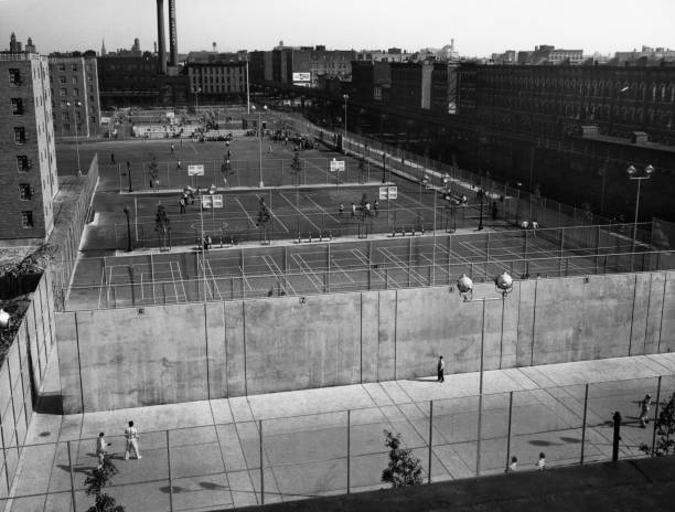 从弹跳力到爆发力:盘点NBA大前锋身体素质排名