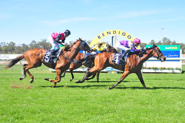 山东队赛季赛果统计：得分王、篮板王及关键战役回顾