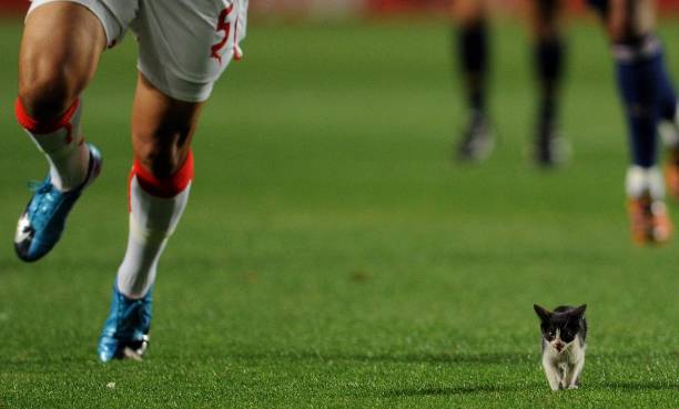 莱万在拜仁的帽子戏法次数:哪场比赛最疯狂?