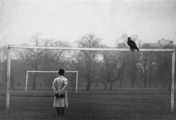 足球迷必备！球探比分新版本带来更精准的即时数据