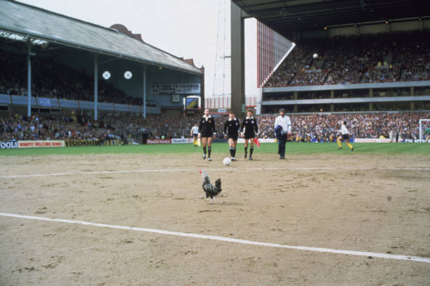 从迪斯蒂法诺到C罗：欧冠冠军球员的辉煌纪录