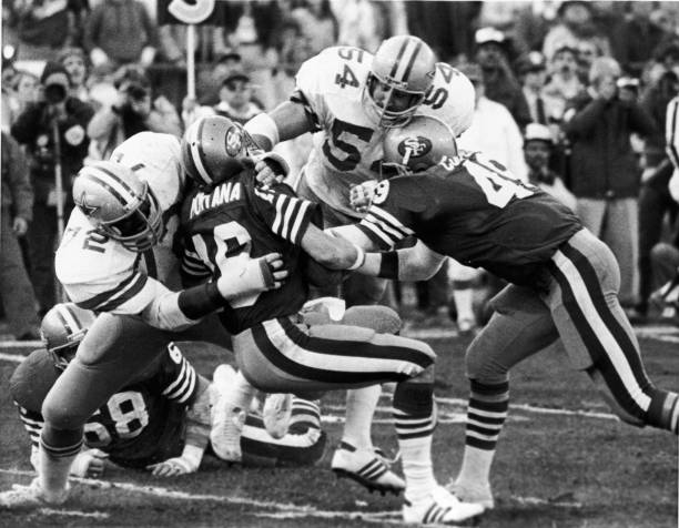 大连英超卫生用品有限公司的市场布局与未来展望