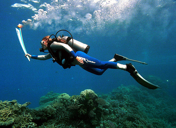 国乒混双冲金首战!许昕/刘诗雯奥运赛程详解