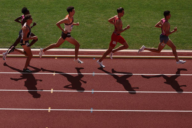 日本奥运会乒乓球男单签表出炉,中国双雄分守上下半区