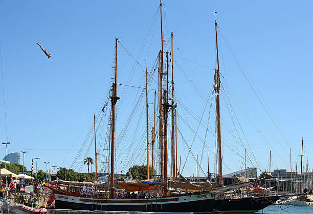 孙杨身高是否影响了他的职业生涯？专家解读身高与运动表现