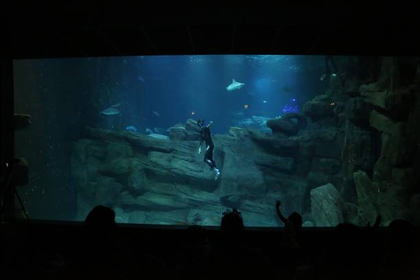 冰封的秘密:跳高行动UFO事件调查实录