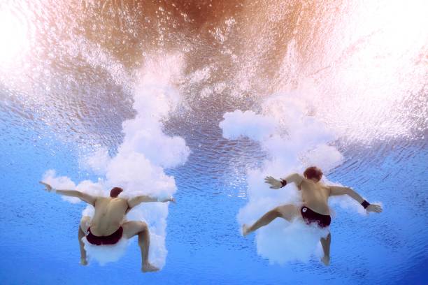 从解剖学角度分析长跑与短跑运动员的腿部特征