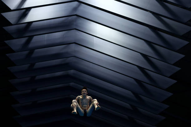 全红婵的跳水人生:梦想、汗水与荣耀的交织