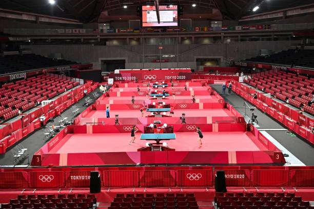 从老将到新秀：全球乒乓球男运动员完整名单及技术特点