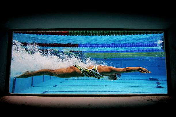 如何为小学生游泳比赛撰写一份完美的总结报告