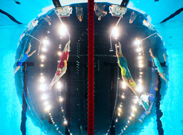 从入门到精通:蝶泳慢动作视频分步指导