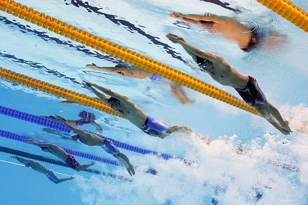 水上运动艺术:游泳池场景绘画集锦