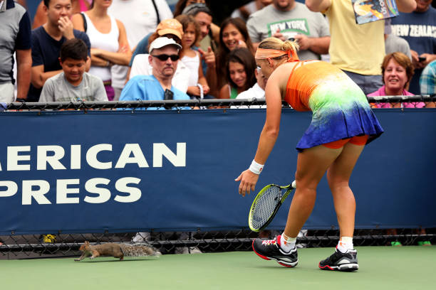 2024中国网球公开赛奖金池揭晓：总奖金创历史新高