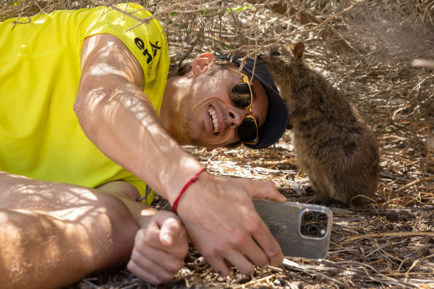 奖金激励效应：高额奖金如何推动中国网球运动发展